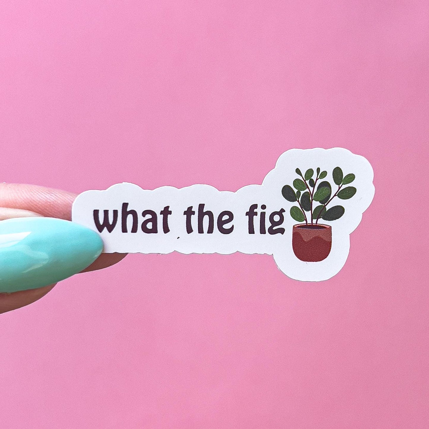A vinyl decal sticker that reads "What the fig" in black text with a fig plant in a brown pot.