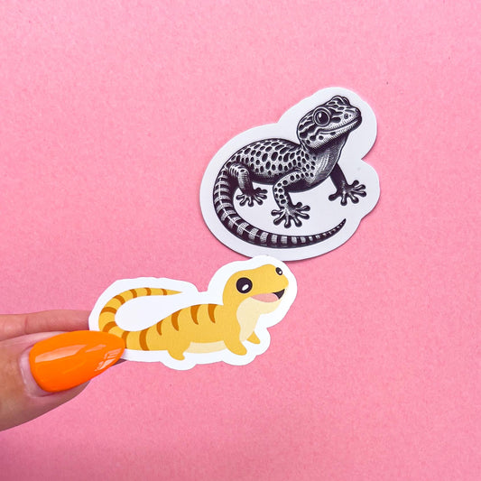 Two vinyl decal stickers options of geckos. One is yellow with orange stripes and cartoon style. The other is a realistic black and white leopard gecko.