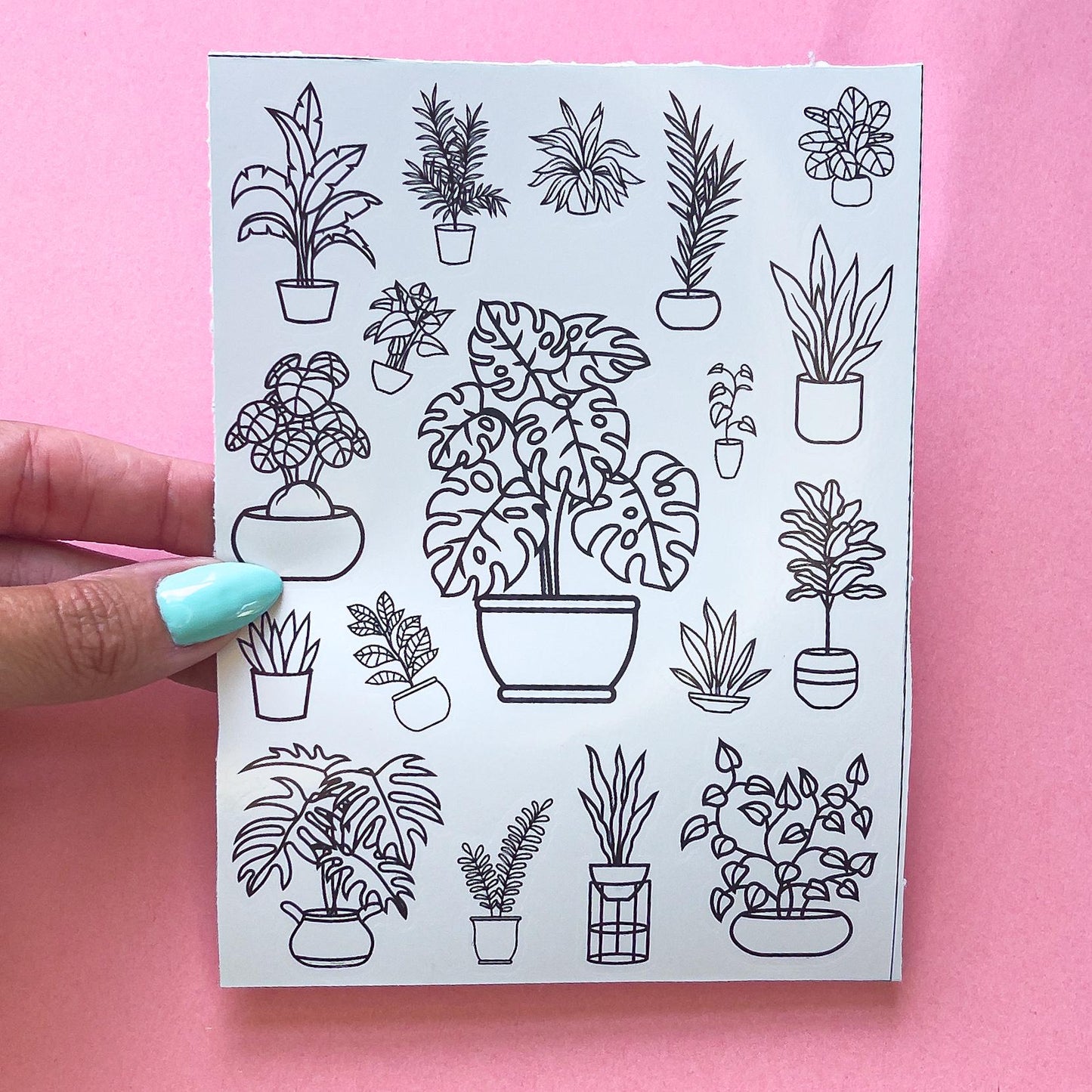 A sheet of minimalist black and white line art stickers featuring various potted plants. The stickers include a monstera plant, a snake plant, a fiddle leaf fig, a peace lily, a fern, and other plants.