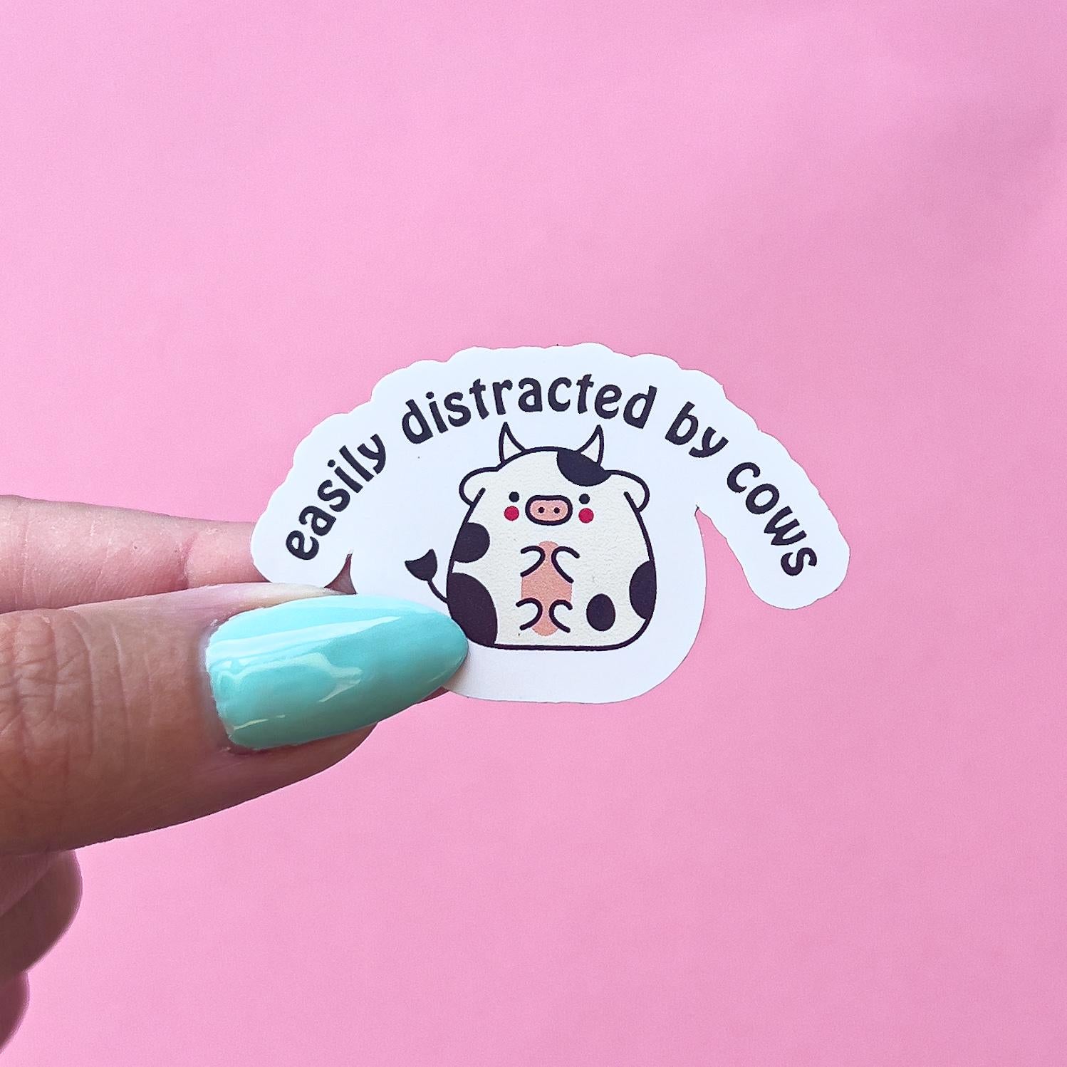 A vinyl decal sticker with black text that reads 'easily distracted by cows.' A cartoon, dairy cow with black spots and pink cheeks is in the center of the sticker. The cow is very round with its pink tummy showing.