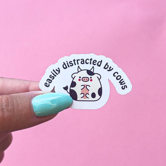 A vinyl decal sticker with black text that reads 'easily distracted by cows.' A cartoon, dairy cow with black spots and pink cheeks is in the center of the sticker. The cow is very round with its pink tummy showing.