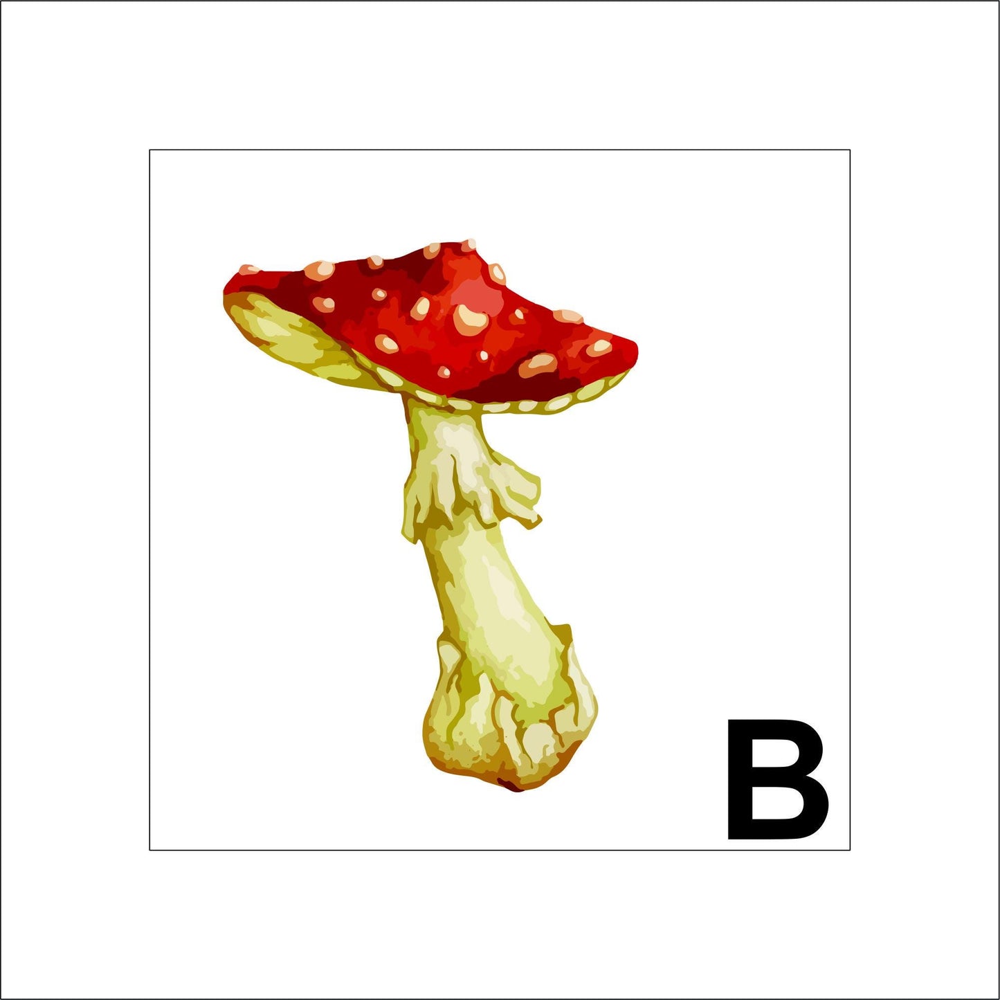 Mushroom Sticker Decal for Planners, laptop sticker, tumblers sticker, cars, walls, mirrors, notebook sticker, phone sticker, etc. 8PLNT